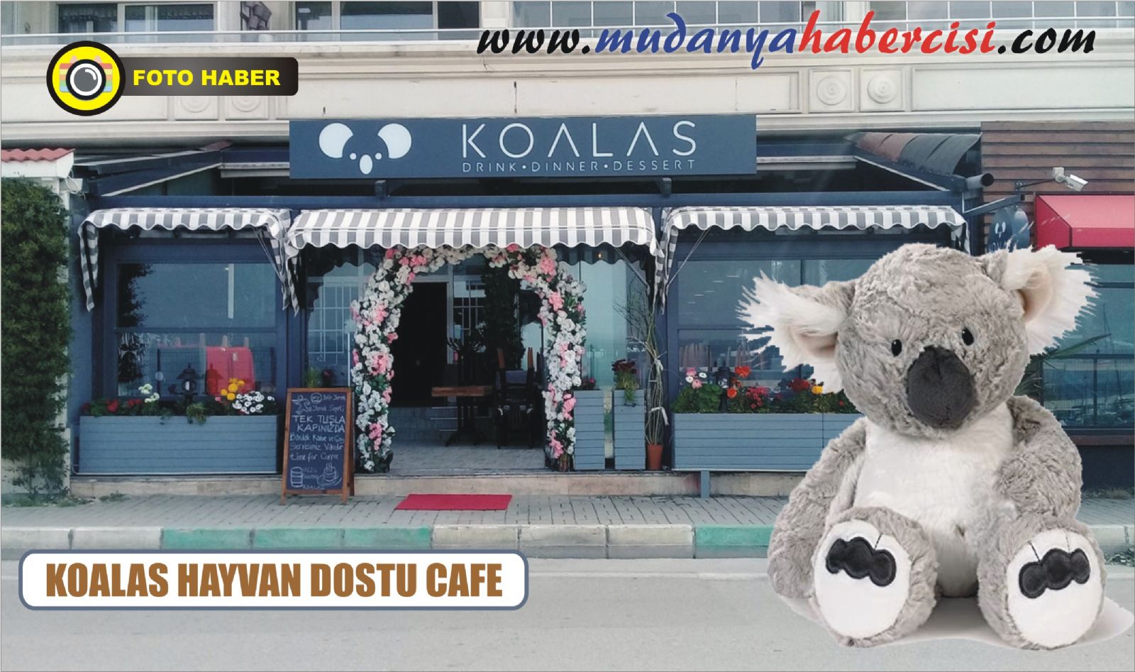 KOALAS HAYVAN DOSTU CAFE